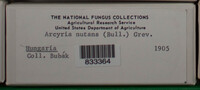 Image Associated With the Occurence